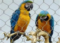 Paslanmaz Çelik Halat Hasır Çit / Koruma için Kuş Kafes Tel Örgü Netleştirme