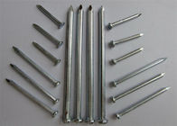 Korozyon Önleyici Metal Tel Çiviler Q195 Çelik Ortak Demir Çivi Mobilya İçin Kullanıldı