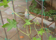 6.5 Feet Plastik Mesh Netleştirme Hdpe Bahçe Yaprak Koruyucu Koruyucu Kafes