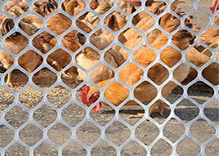 Tavuk Ördek Besleme ve Hayvan Koruma İçin Aşınma Direnci Plastik Kümes Ağları