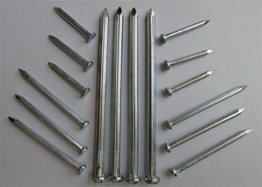 Korozyon Önleyici Metal Tel Çiviler Q195 Çelik Ortak Demir Çivi Mobilya İçin Kullanıldı